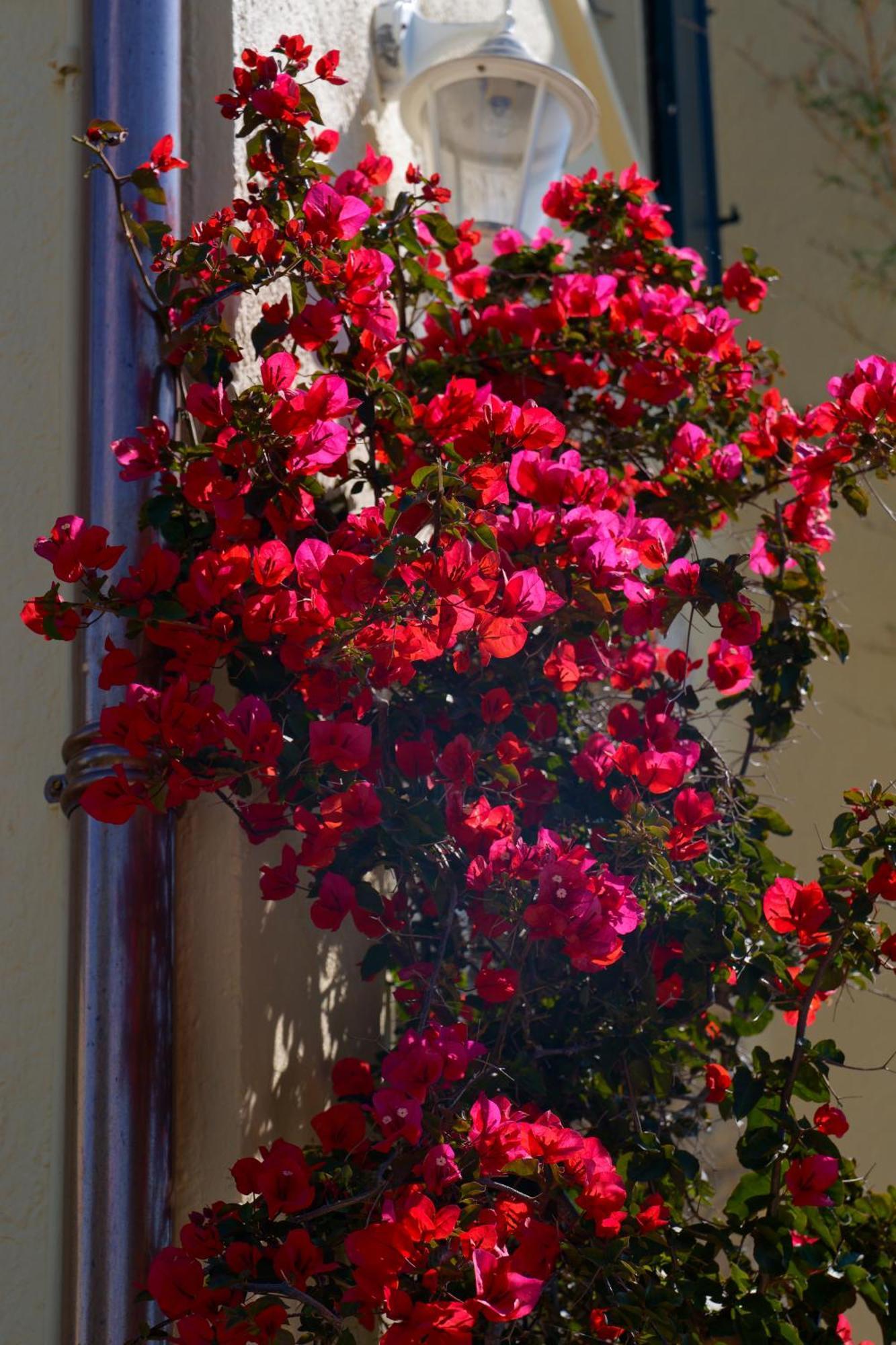 La Garoupe-Gardiole Hotel Antibes Exterior photo